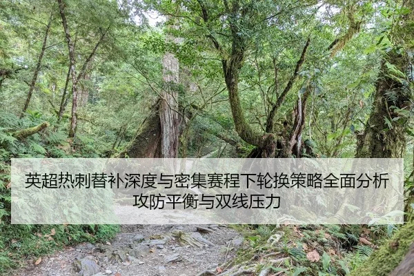 ying-chao-re-ci-ti-bu-shen-du-yu-mi-ji-sai-cheng-xia-lun-huan-ce-lve-quan-mian-fen-xi-gong-fang-ping-heng-yu-shuang-2-692.jpg