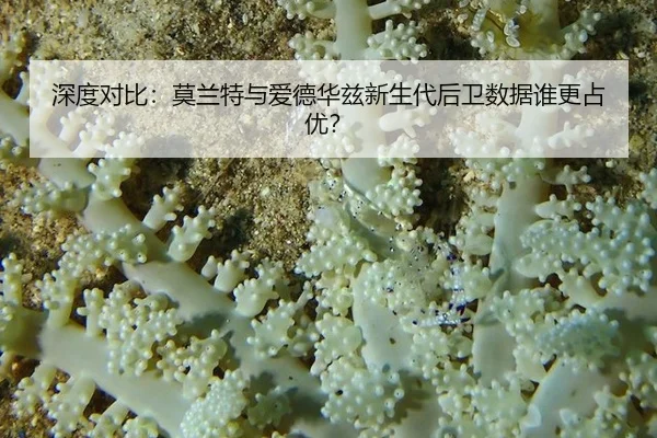 shen-du-dui-bi-mo-lan-te-yu-ai-de-hua-zi-xin-sheng-dai-hou-wei-shu-ju-shui-geng-zhan-you-3-596.jpg